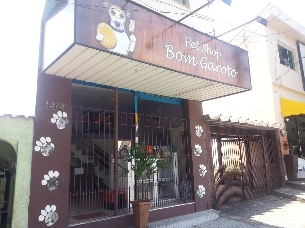 Pet Model Fotografia