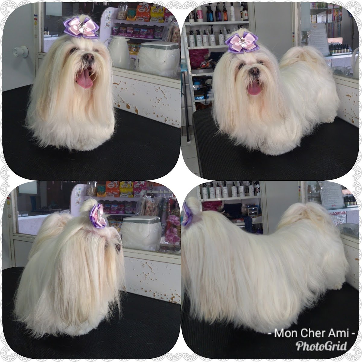 Mon Cher Ami Pet Shop e Banho e Tosa