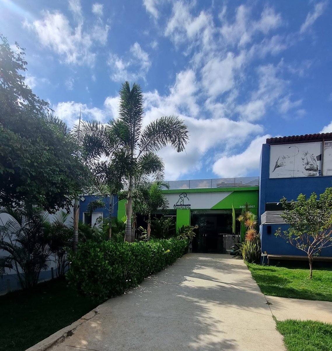 ANI + atendimento veterinário