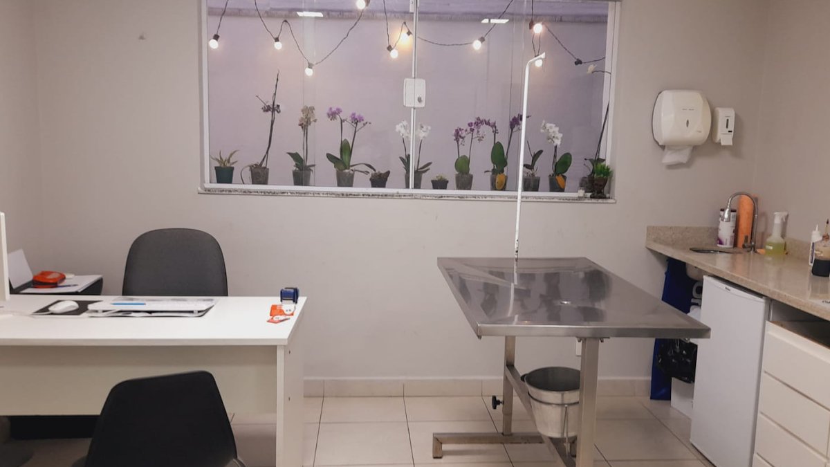 Pets House - Centro Veterinário 