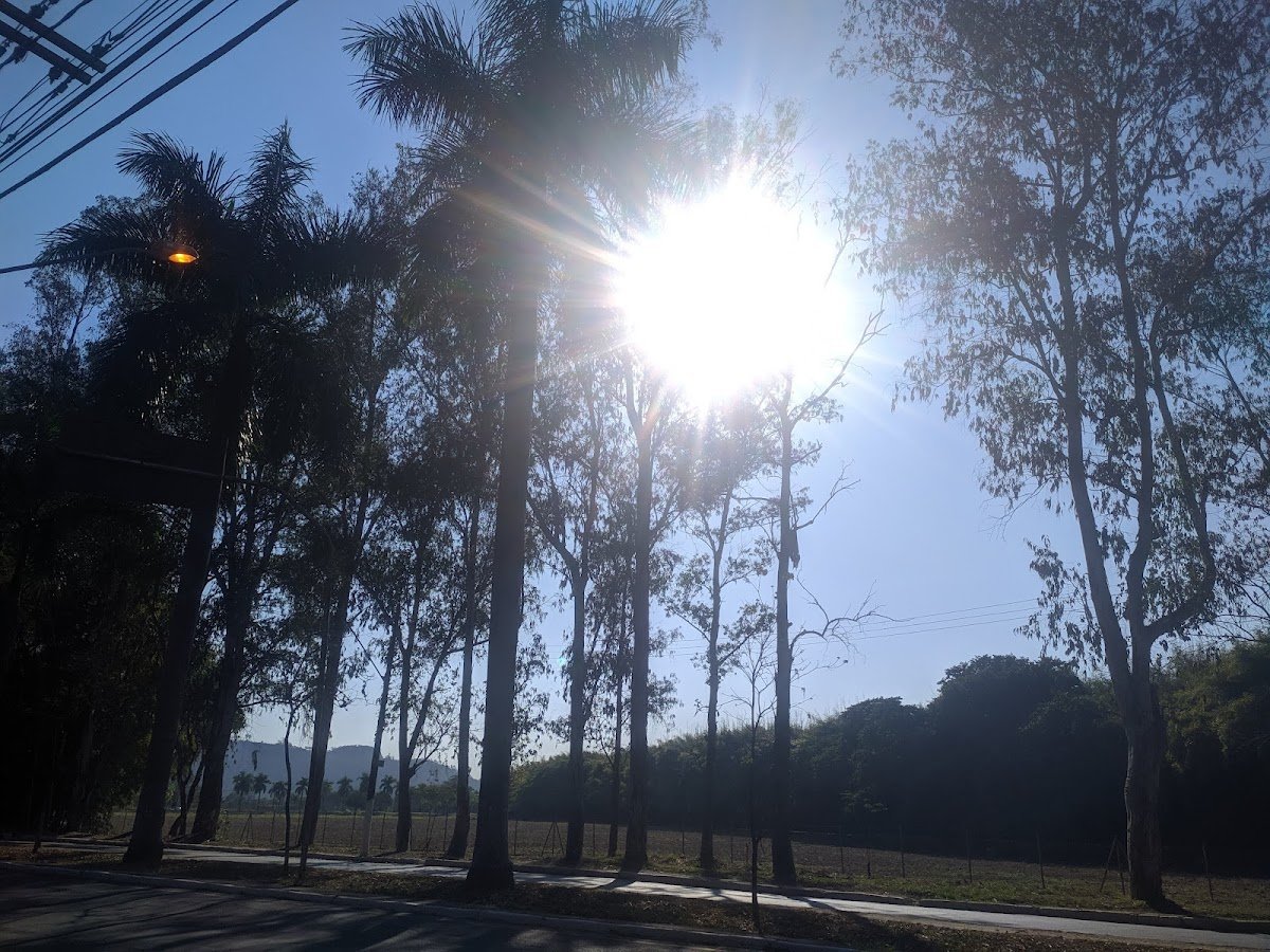 Fundação de Estudo e Pesquisa em Medicina Veterinaria e Zootecnia