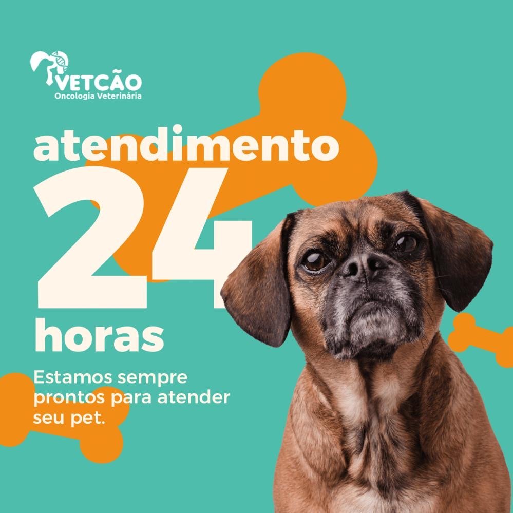 MediCão Veterinária