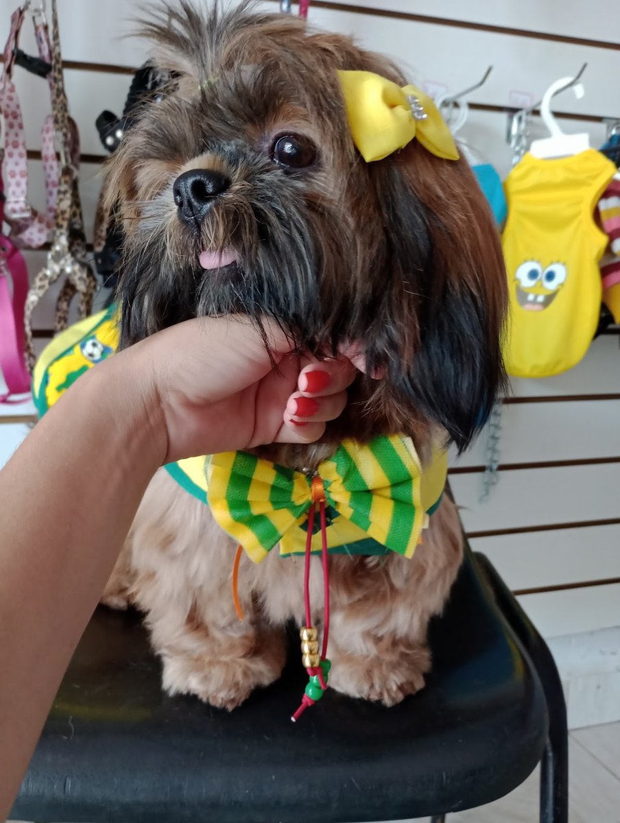 Pet Shop Love Dog