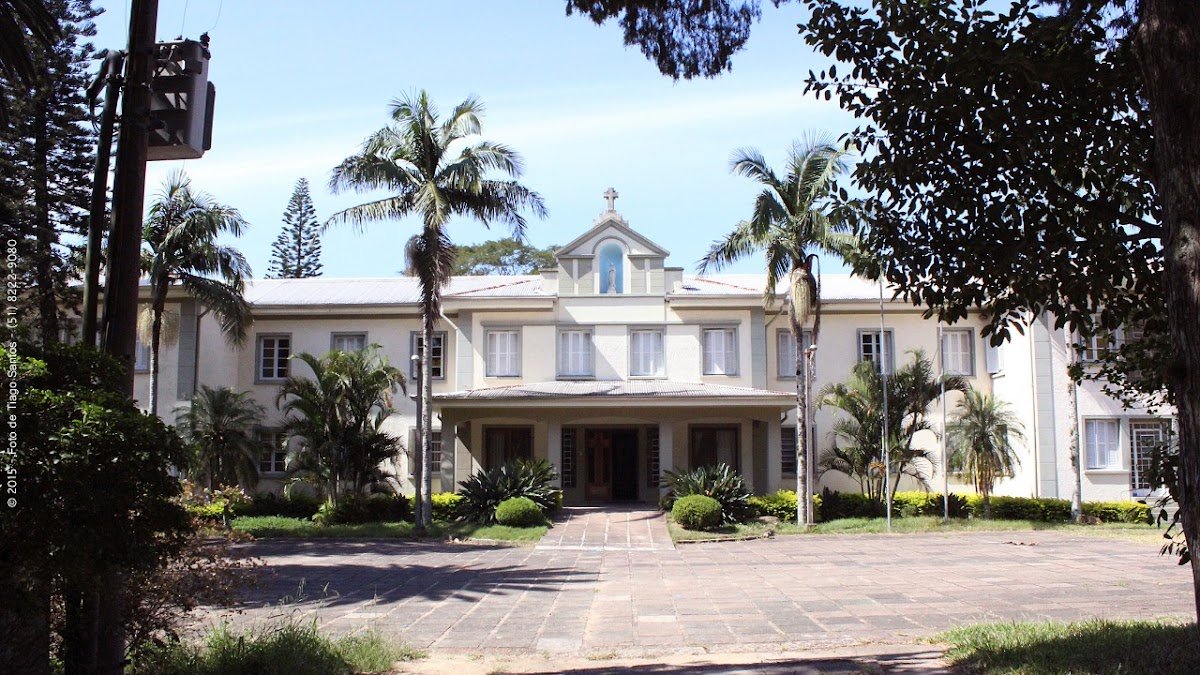 Esporte Canicross - são aulas de corrida com cachorro