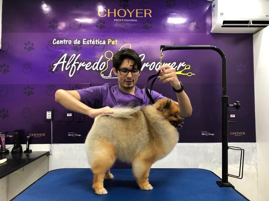 centro de estética pet Alfredo groomer 