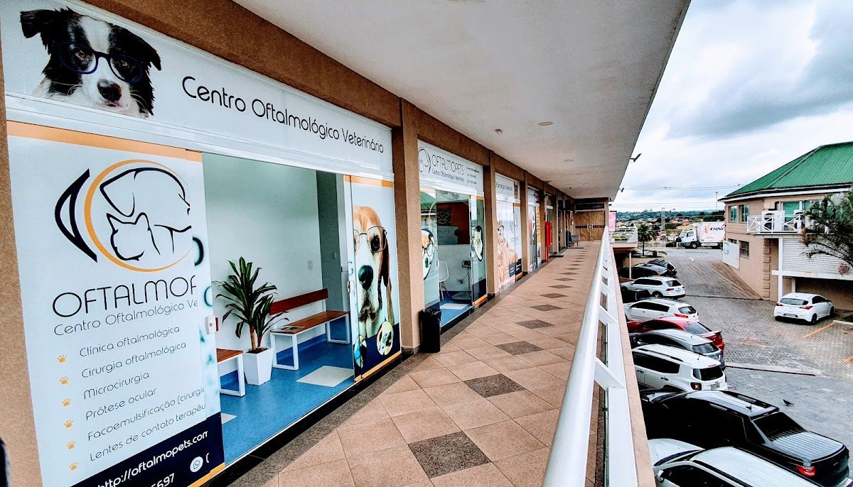 Oftalmopets - Centro Oftalmológico veterinário