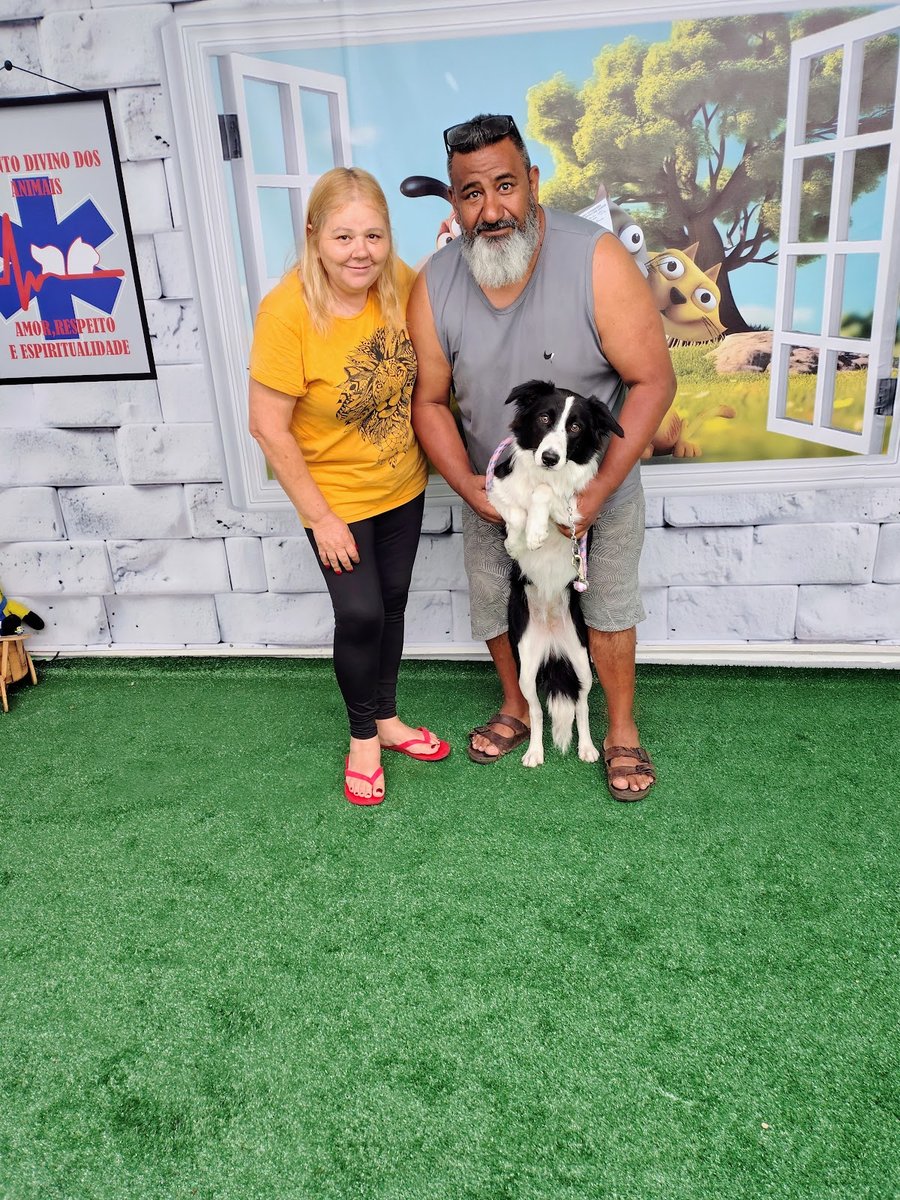 CLÍNICA VETERINÁRIA RECANTO DIVINODOS ANIMAIS