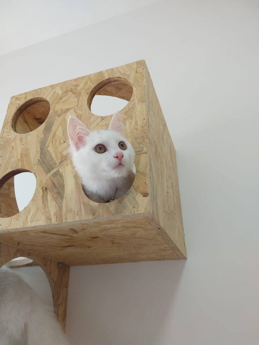 Clínica Veterinària & Pet Shop Garoupas