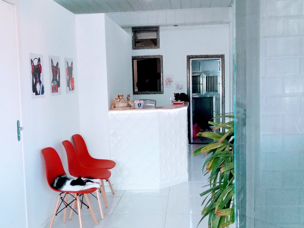 Veterinária Popular Stop cão 