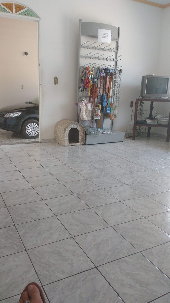 Clínica Veterinária Checchianto