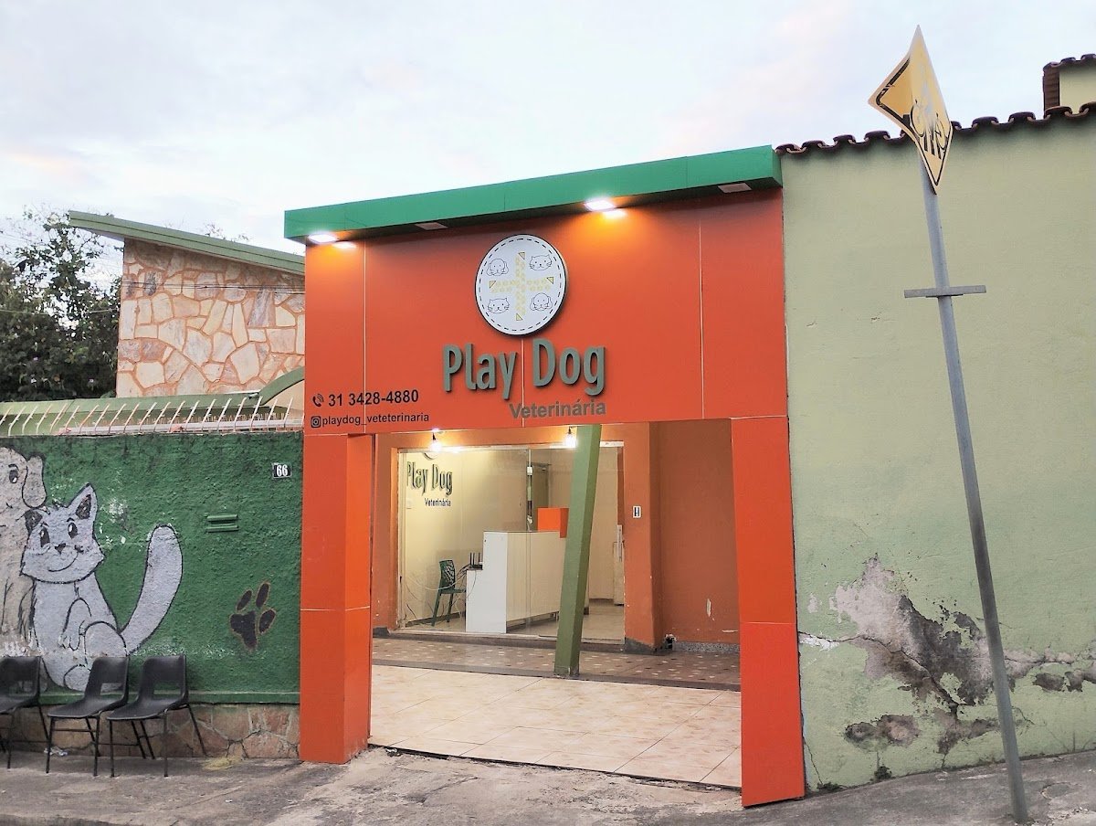 Play Dog Clínica Veterinária 