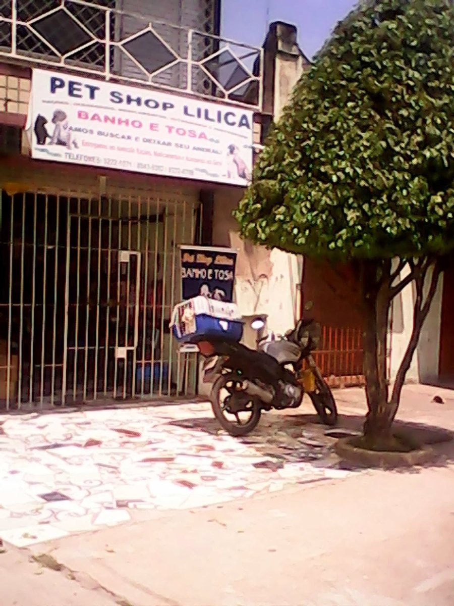 Pet Shop Lilica Lica