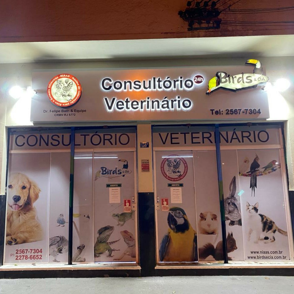VETERINÁRIA EM DOMICÍLIO - CÃES, GATOS E ANIMAIS SILVESTRES