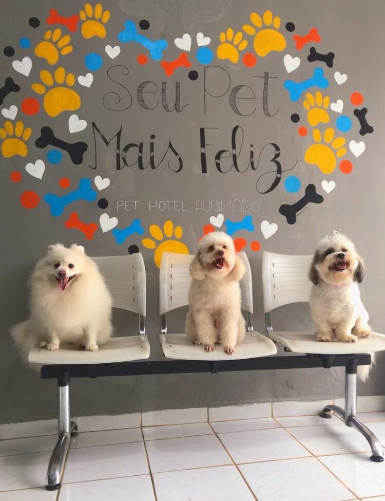 Pet Hotel Aunimado