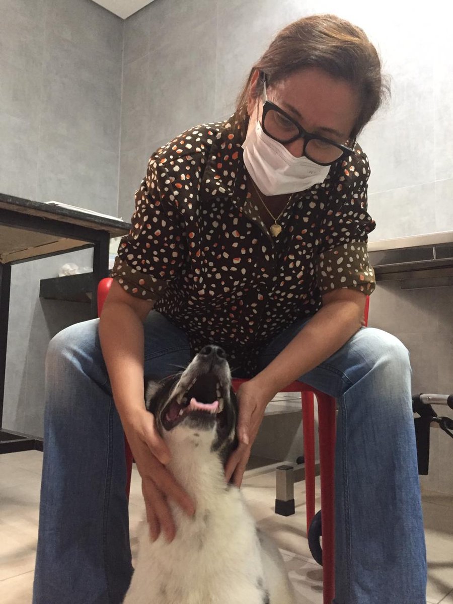 Espaço Pet - Clinica Veterinária e Pet Shop