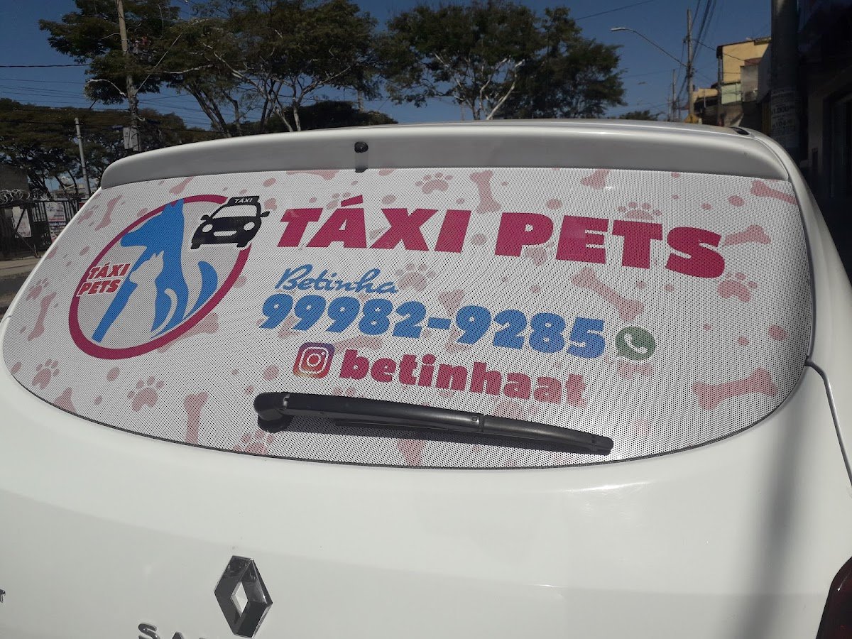 Pet Taxi Andressa
