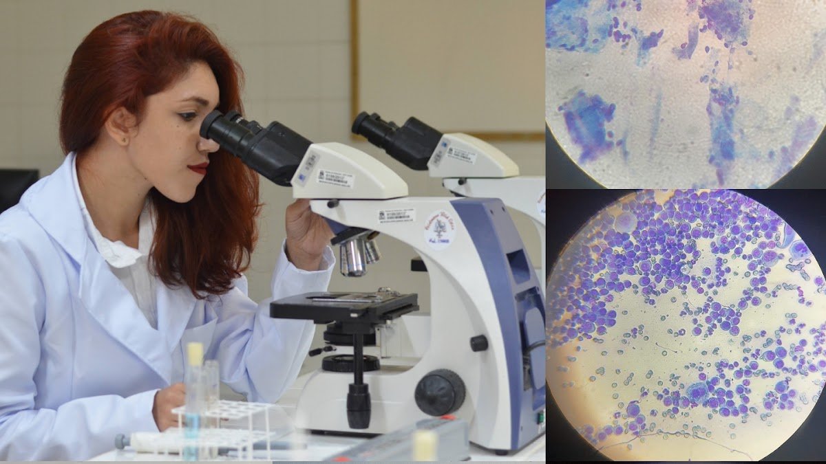 Dária Carla Pereira