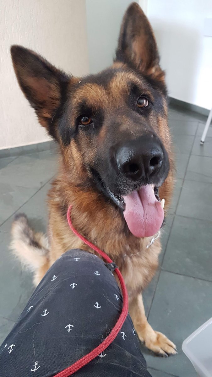 Detecta Saúde Animal