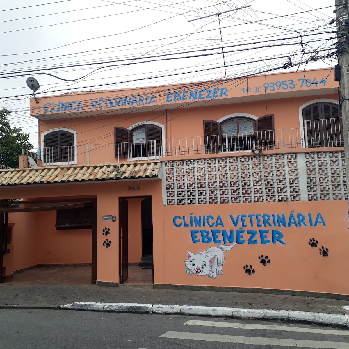 clinica veterinária ebenézer