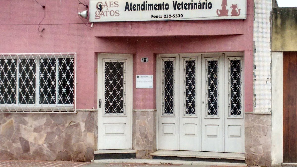 Kat Vet consultório para felinos