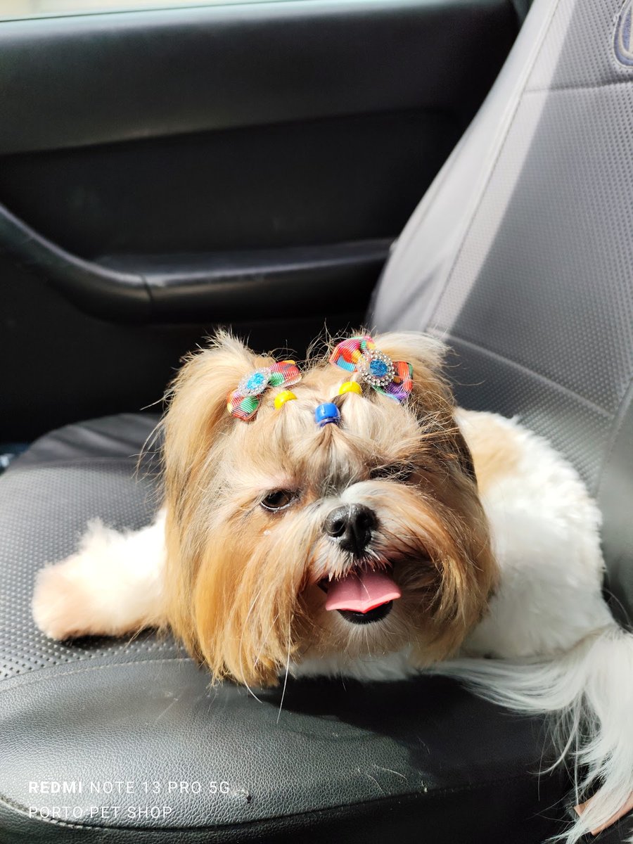 Porto Pet Shop e Clínica Veterinária