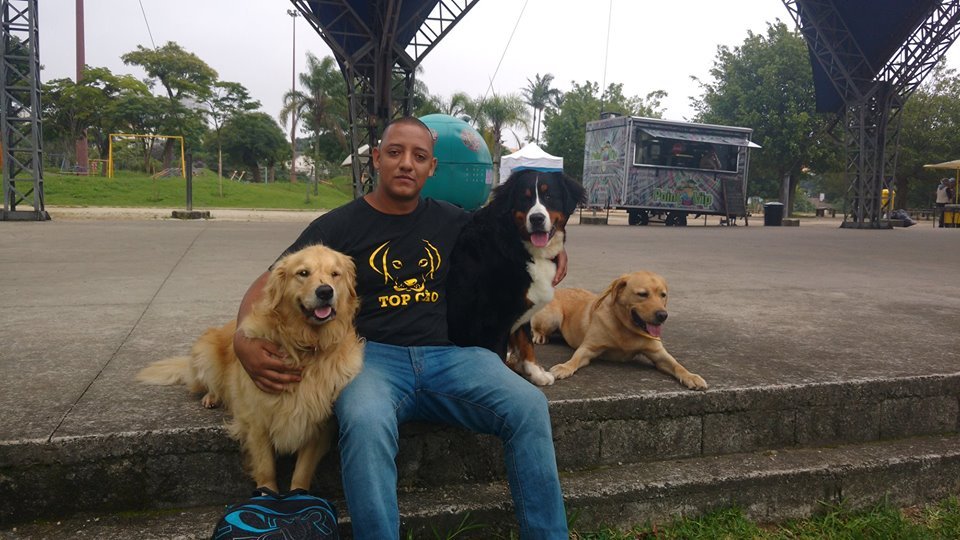 Top Cão Adestramento e Passeio