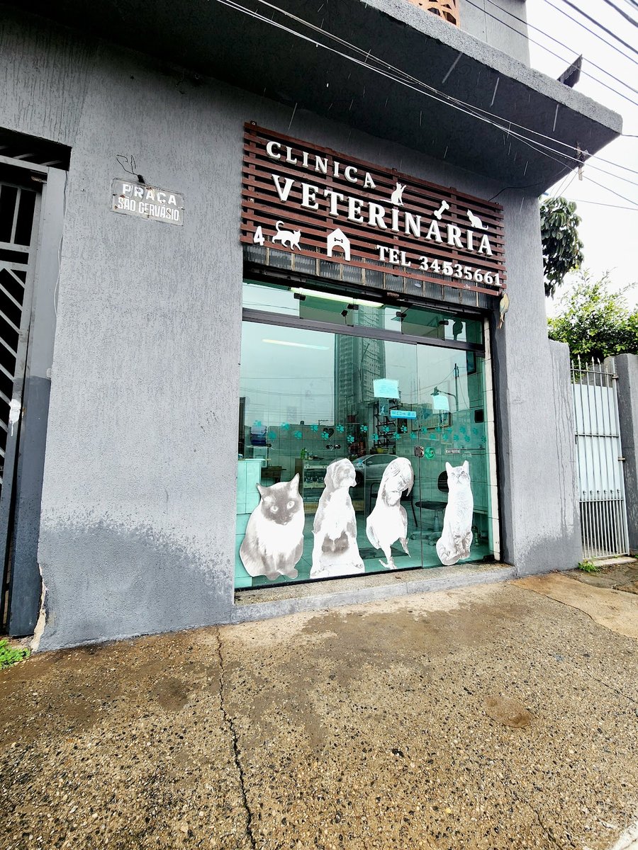 Veterinária Viaduto
