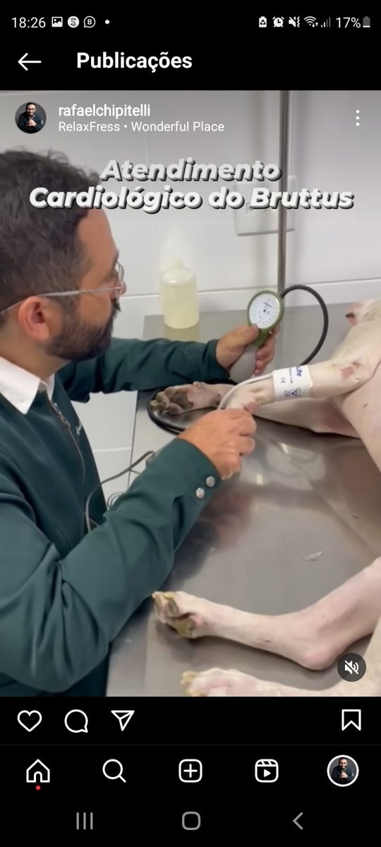 Clínica Veterinária Via Animale