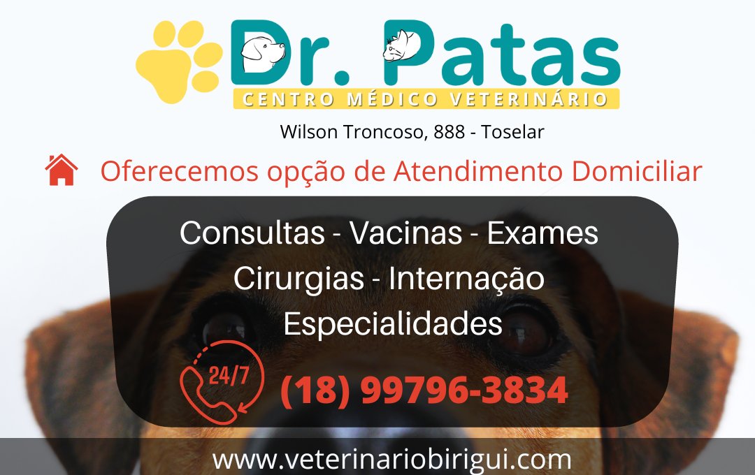 Dr. Patas Centro Médico Veterinário