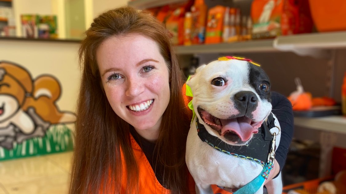 Veterinária Boff - Clínica Veterinária em Caxias do Sul