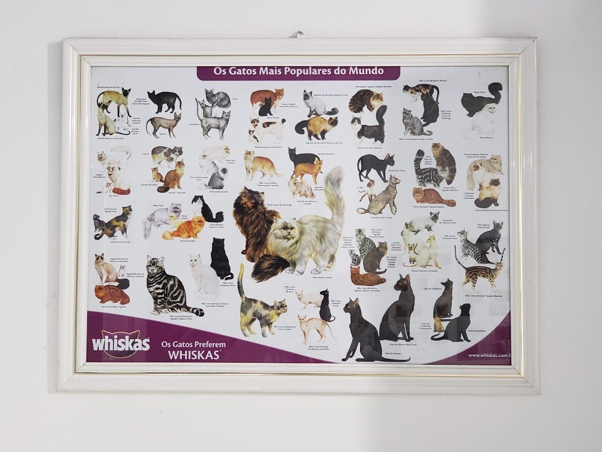 Consultório Veterinário Dr Alexandre Costa (Shop da Ração)