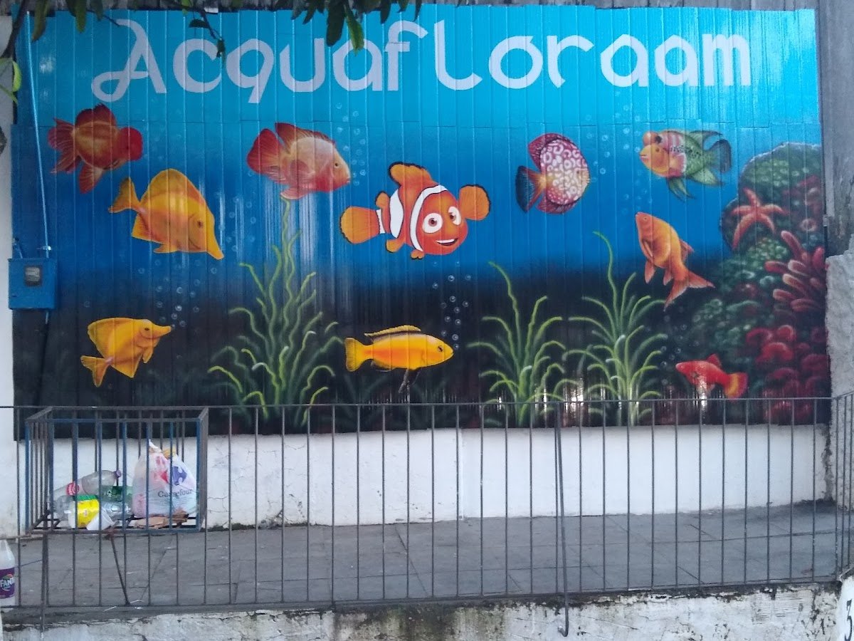 Loja de aquários, peixes ornamentais e Consultório Veterinário AcquaPet