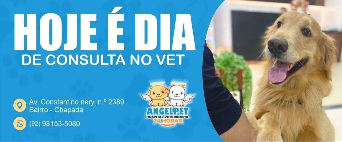AngelPet Hospital Veterinário 24h