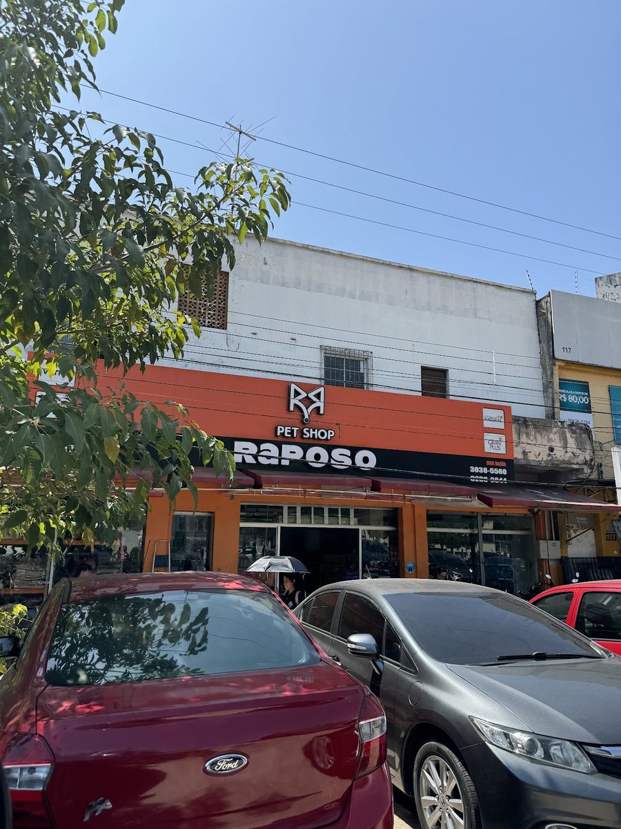 Pet shop Raposo
