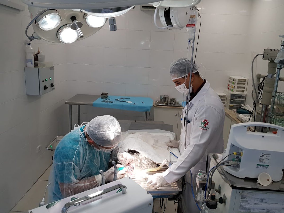 Total veterinarian Vet