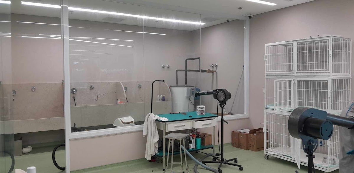 Pet Anjo Alto de Pinheiros: Veterinário, Banho e tosa, Vacinas em São Paulo