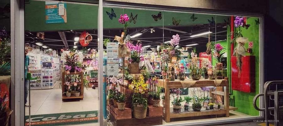 Cobasi Tutóia - São Paulo