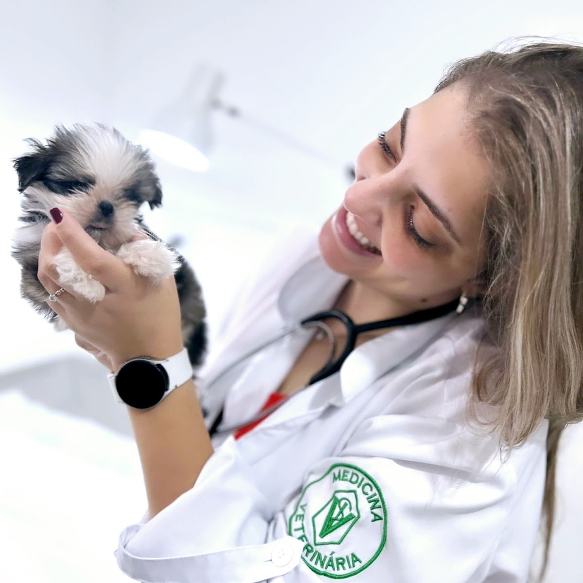 Clínica Veterinária Anima Pet