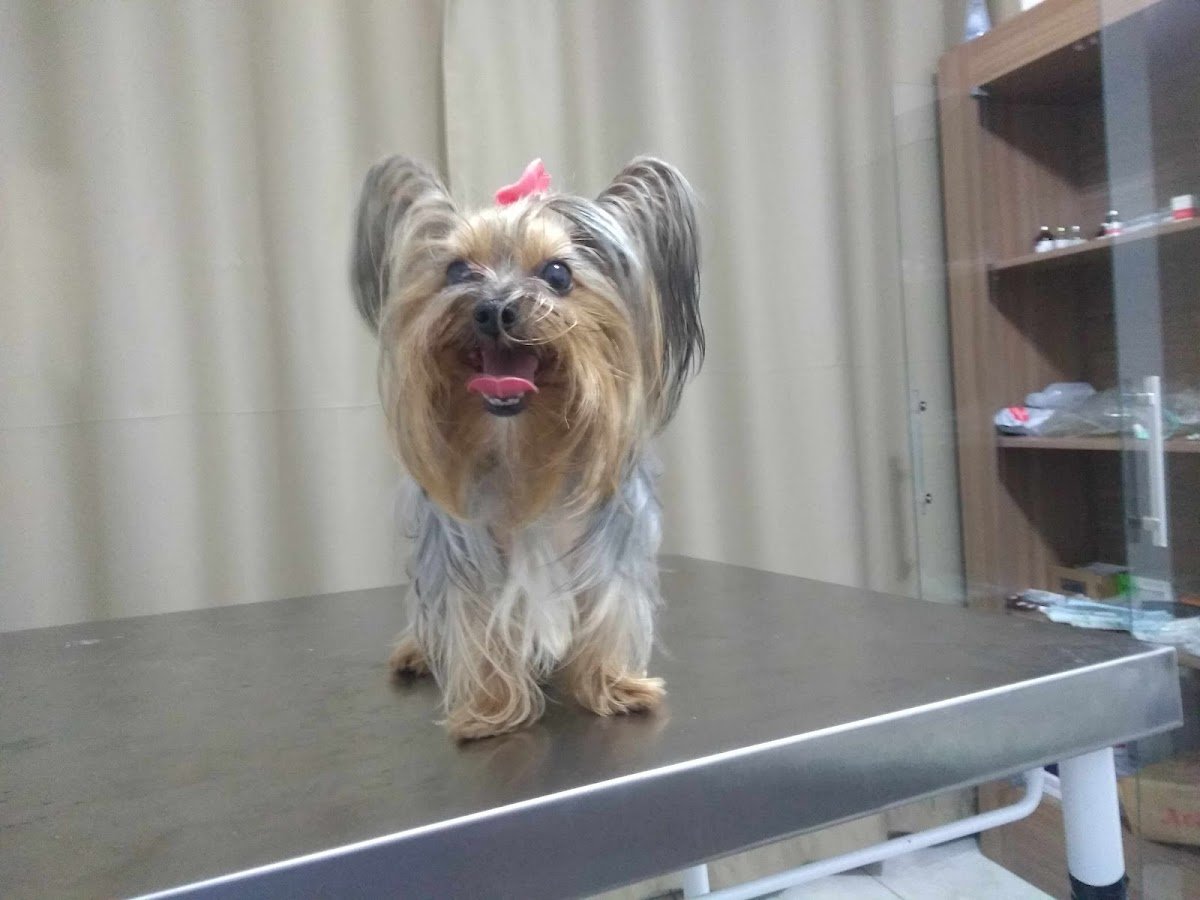Espaço Veterinário Família Pet