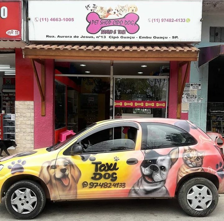 Pet Shop do Cipo