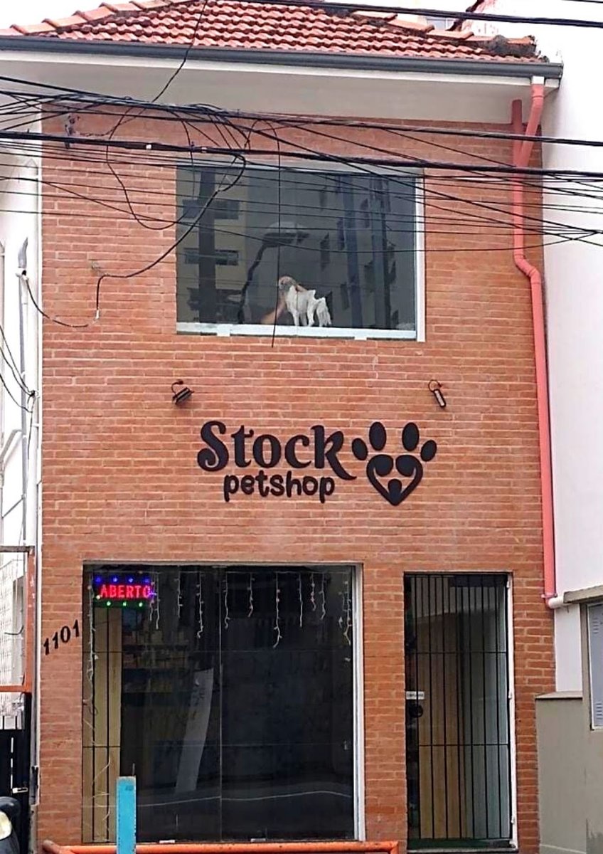 Stock Petshop