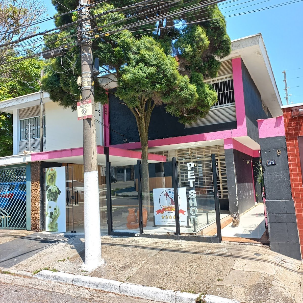 PET LIGHT CENTRO DE BEM ESTAR