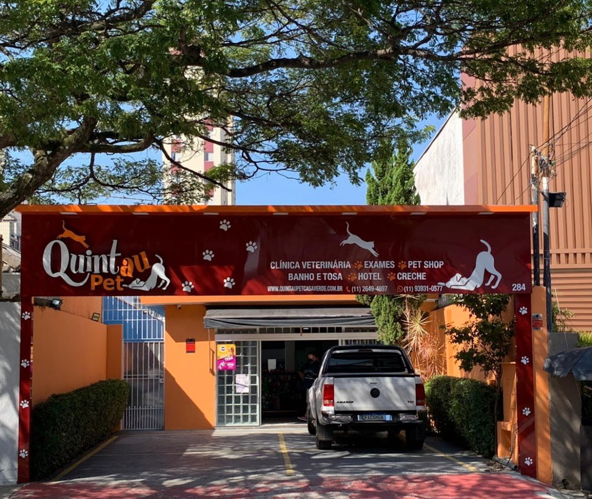 Quintau pet casa verde