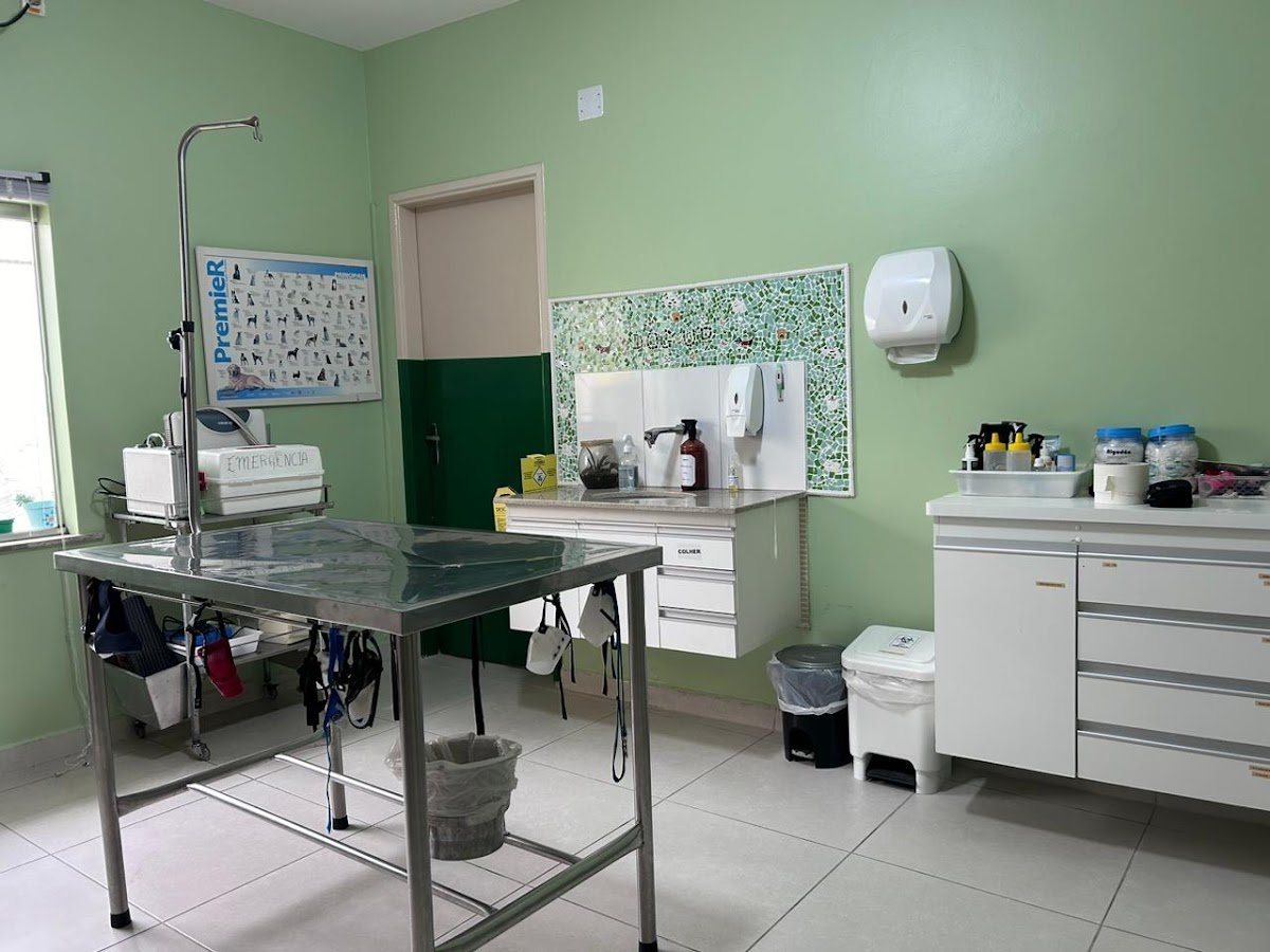 Veterinary clinic 24 hours - DOG UP