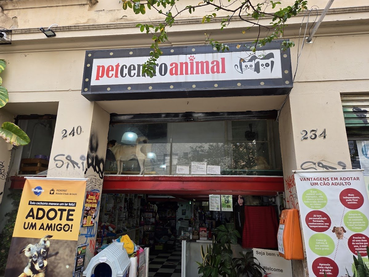 Pet centro animal - Centro de adoção
