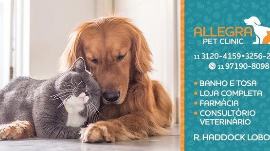 Allegra Pet Clinic