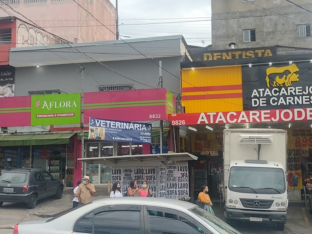 Belita Veterinario Renata Naranjo do Capela