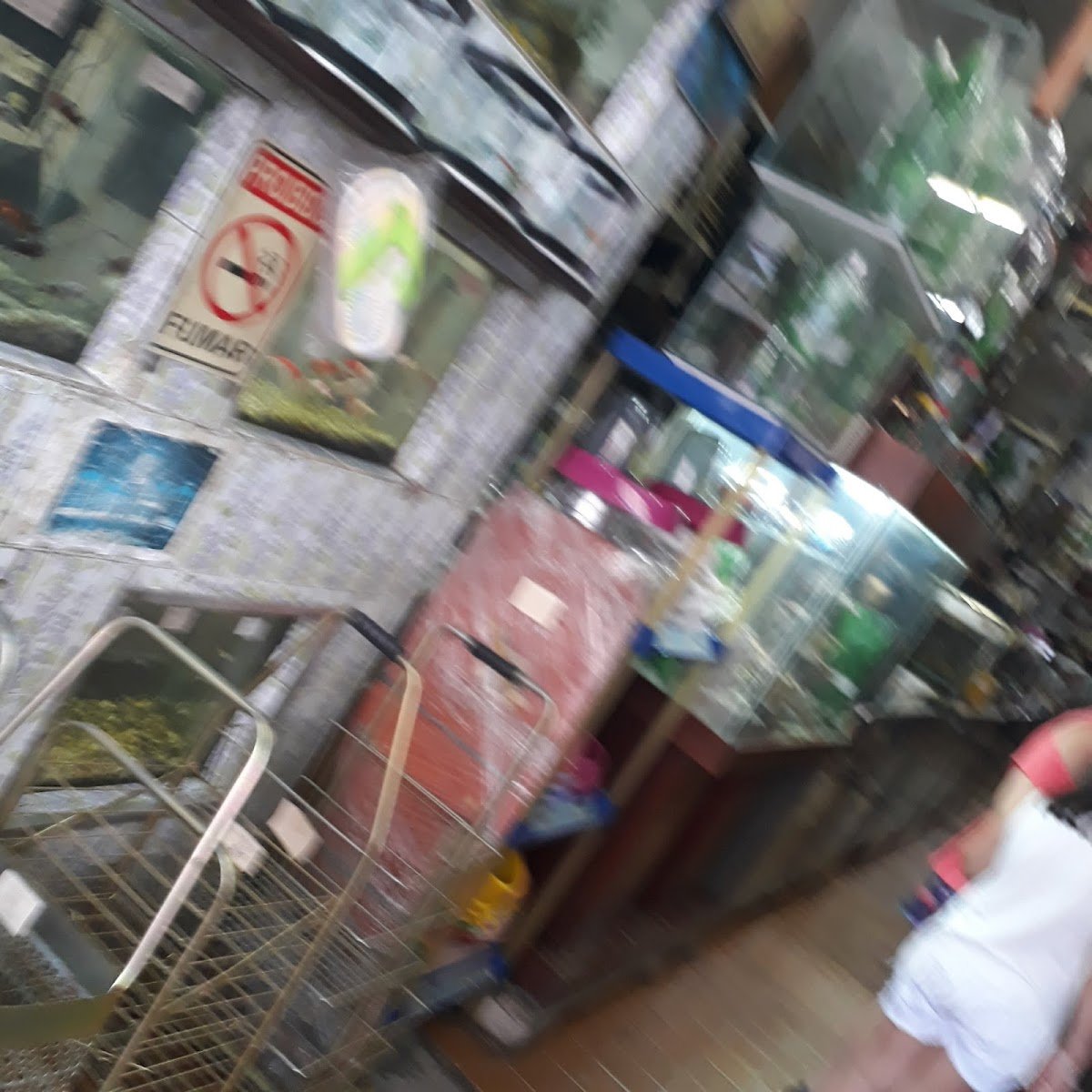 Casa de Aves Donegá