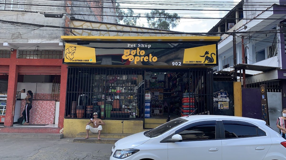 Pet Shop Gato Preto