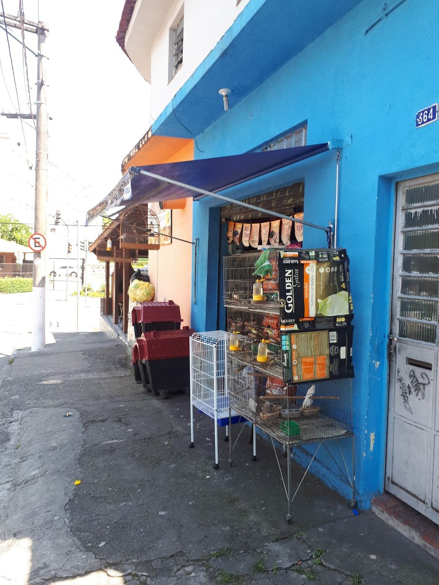 Pet Shop Passarinho